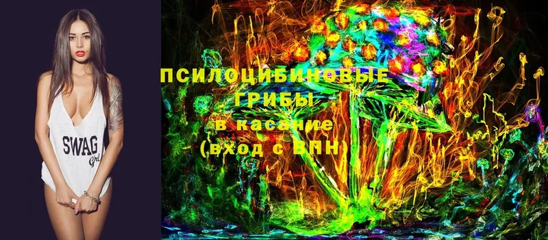 Галлюциногенные грибы MAGIC MUSHROOMS  как найти   Губкин 